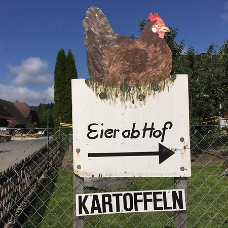 "Zur Alten Schmiede", 70M2 Studio Mit Kaminfeuer Und Sauna Fraubrunnen Kültér fotó