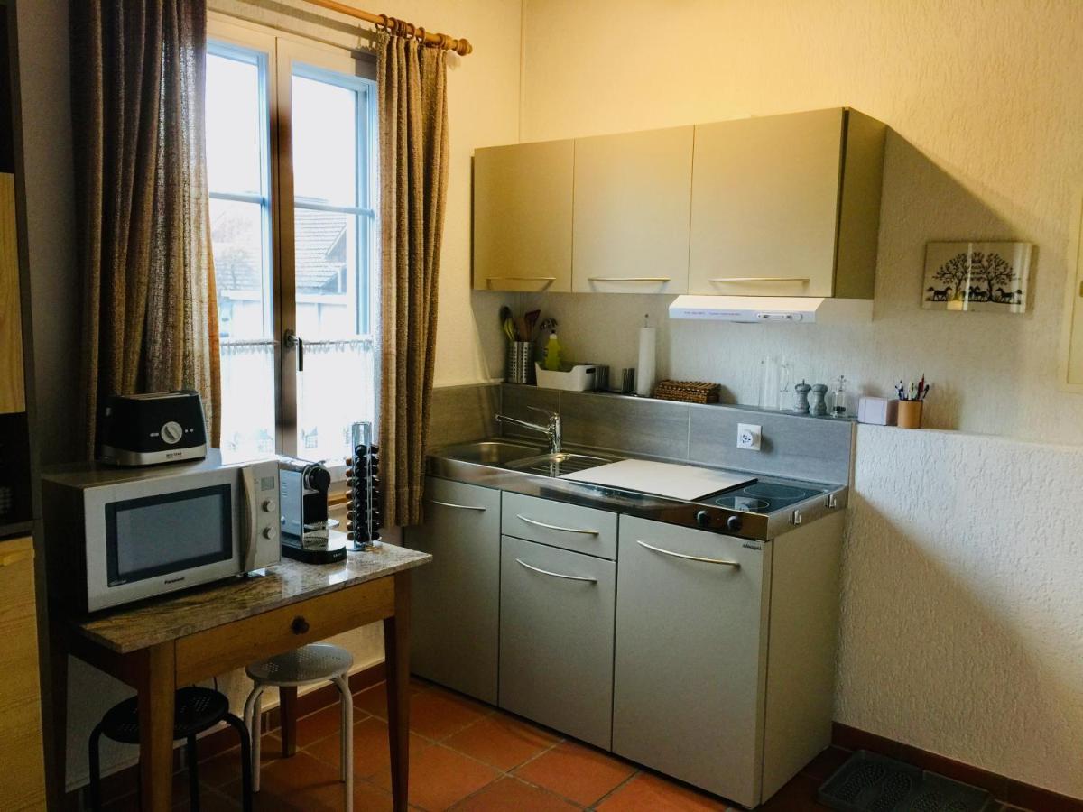 "Zur Alten Schmiede", 70M2 Studio Mit Kaminfeuer Und Sauna Fraubrunnen Kültér fotó